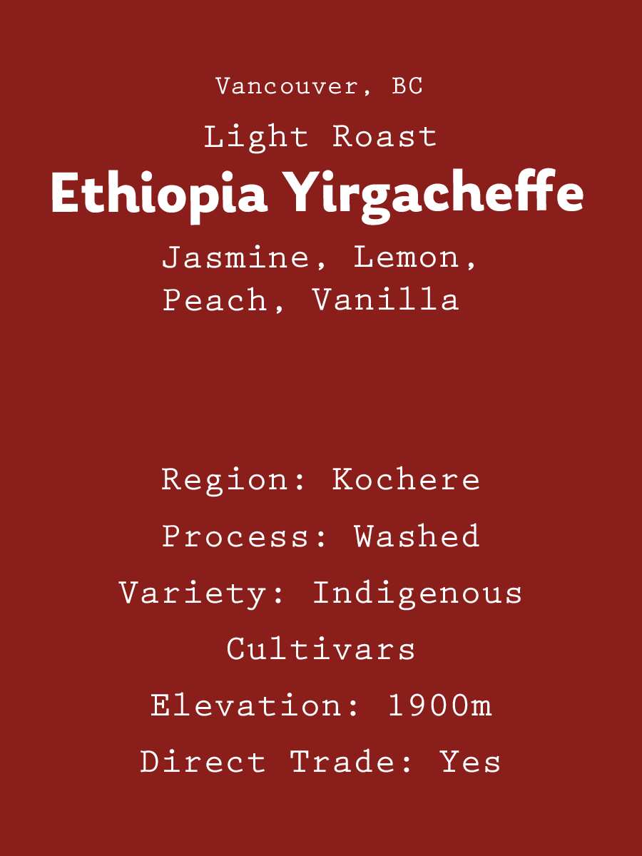 Light Roast - Ethiopia Yirgacheffe